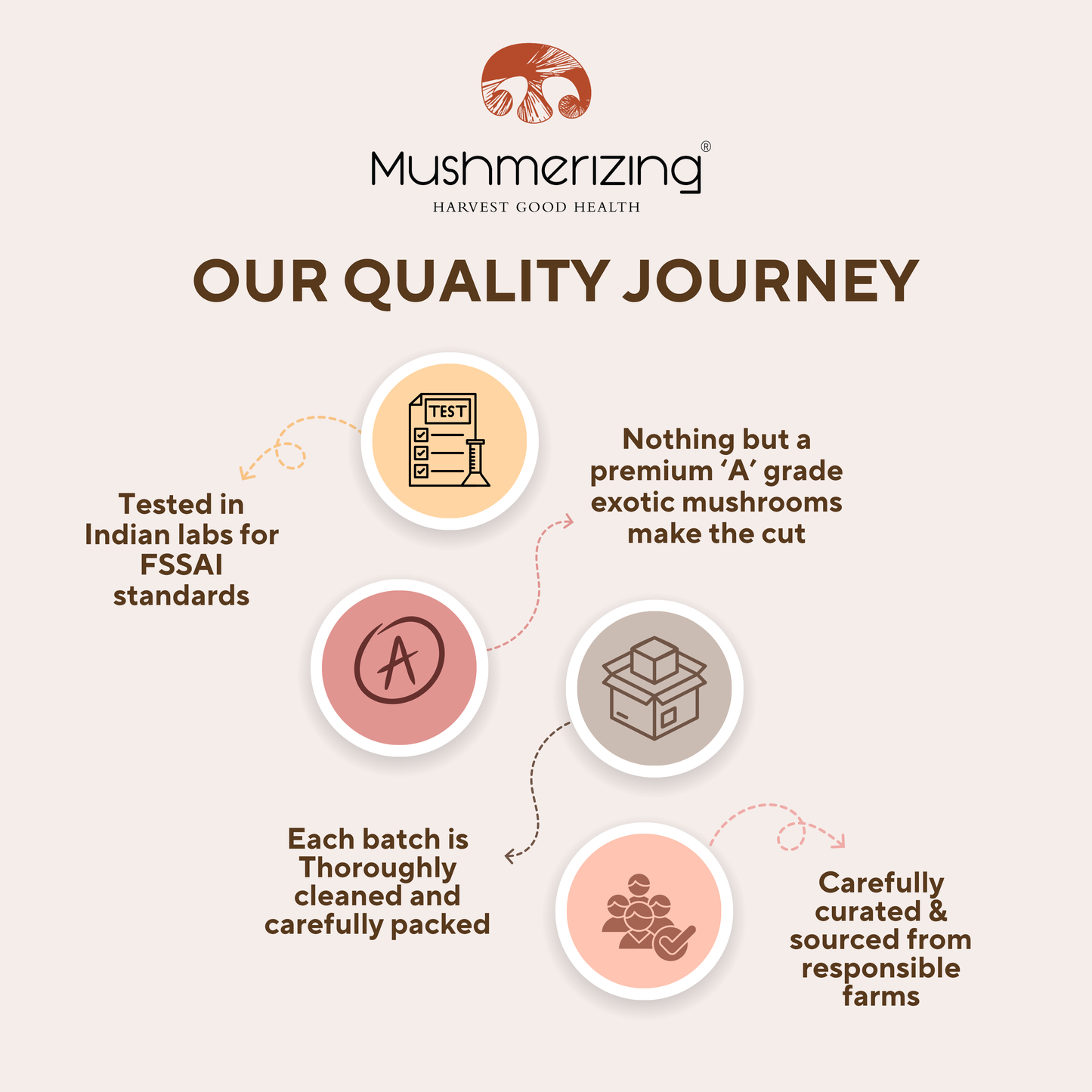 Dried Lion's Mane Mushroom (Whole)