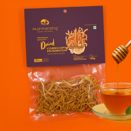 Dried Cordyceps Militaris Mushroom