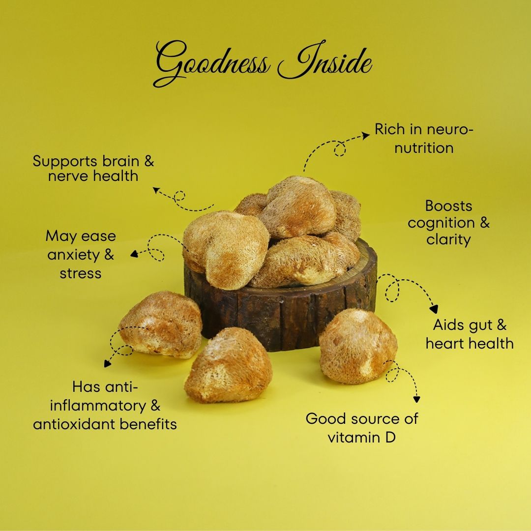 Dried Lion's Mane Mushroom (Whole)