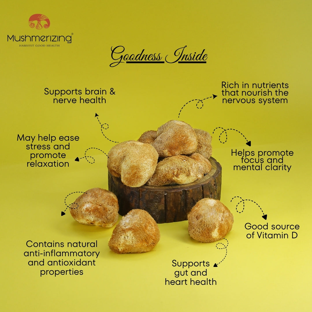 Dried Lion's Mane Mushroom (Pieces)