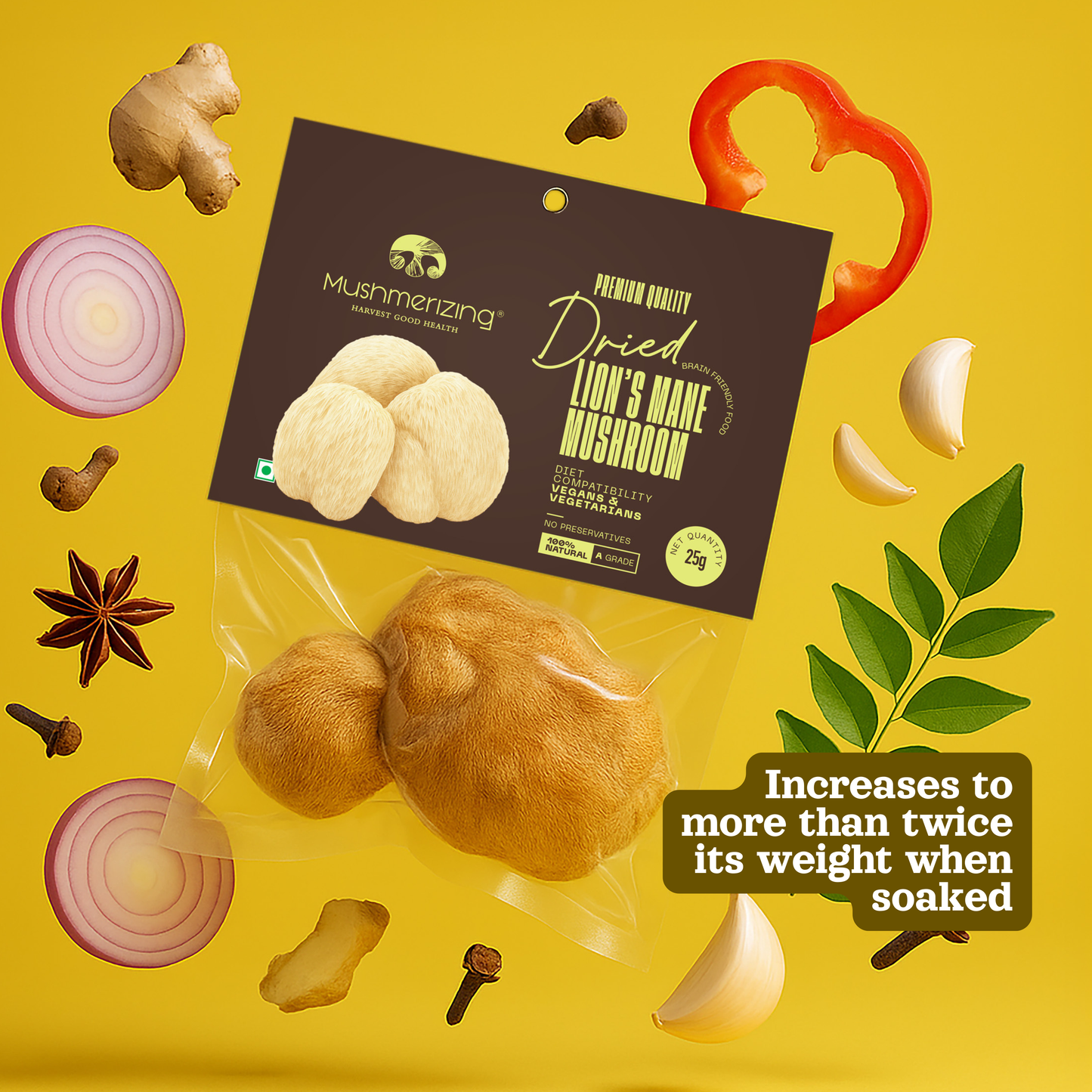 Dried Lion's Mane Mushroom (Whole)